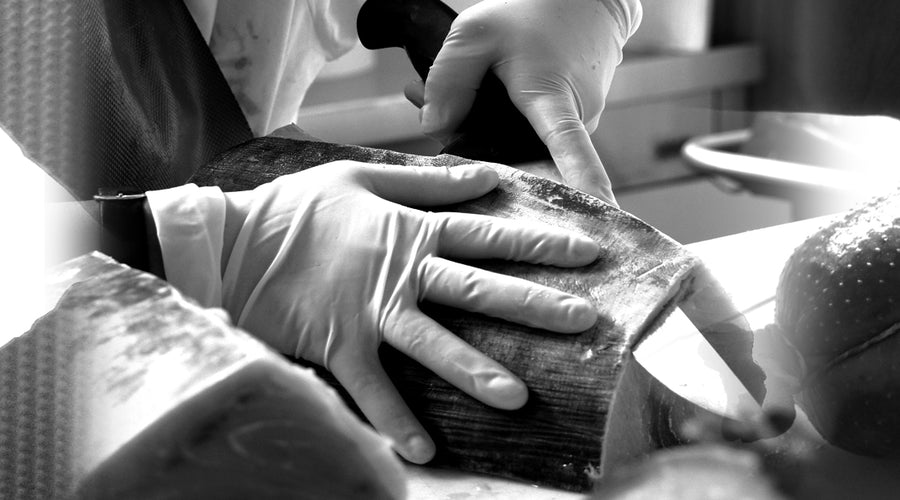 LOVE, PASSION AND FRIULIAN EXPERIENCE: JOLANDA DE COLO