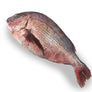 Wild Pink Sea Bream 600g/pc-2.3kg/pc