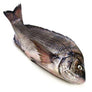 Wild Black Sea Bream +/- 1kg
