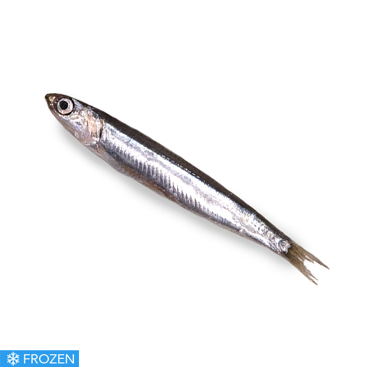 FROZEN MEDITERRANEAN ANCHOVIES - 500g
