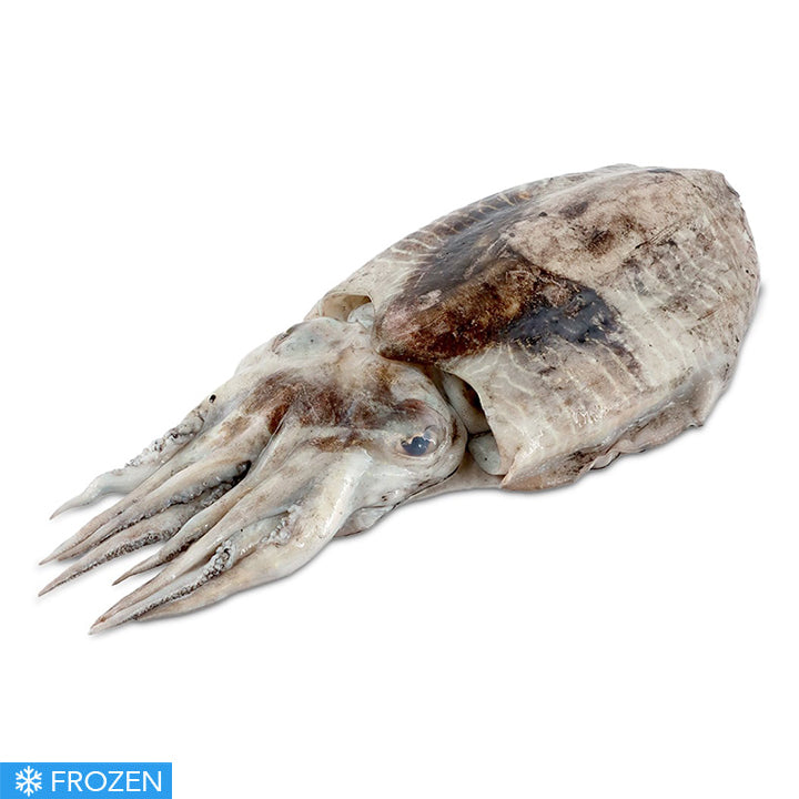 FROZEN MEDITERRANEAN CUTTLE FISH - 500g