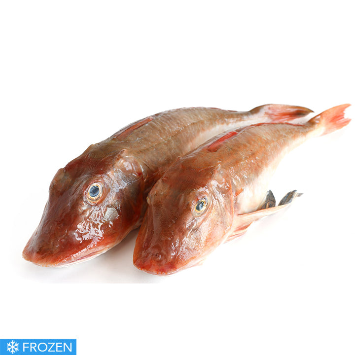 FROZEN MEDITERRANEAN GURNARD - 500g