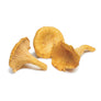 Chanterelle 500g