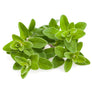 Marjoram 250g