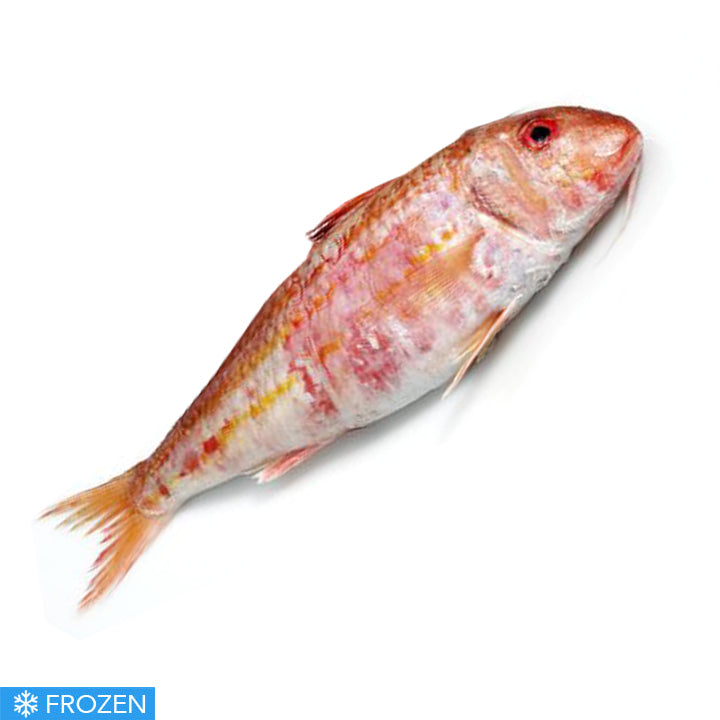 FROZEN MEDITERRANEAN MULLET - LARGE 500g