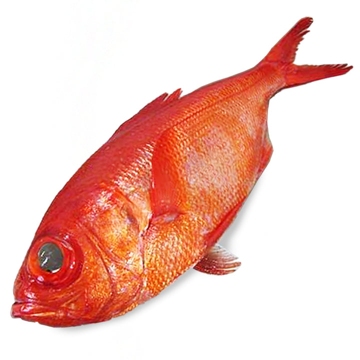 Alphonso Fish Fresh Splendid Alfonsino Fish 1kg-1.5kg – Simplyfresh HK