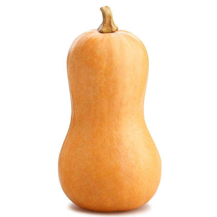 Butternut Squash 1kg