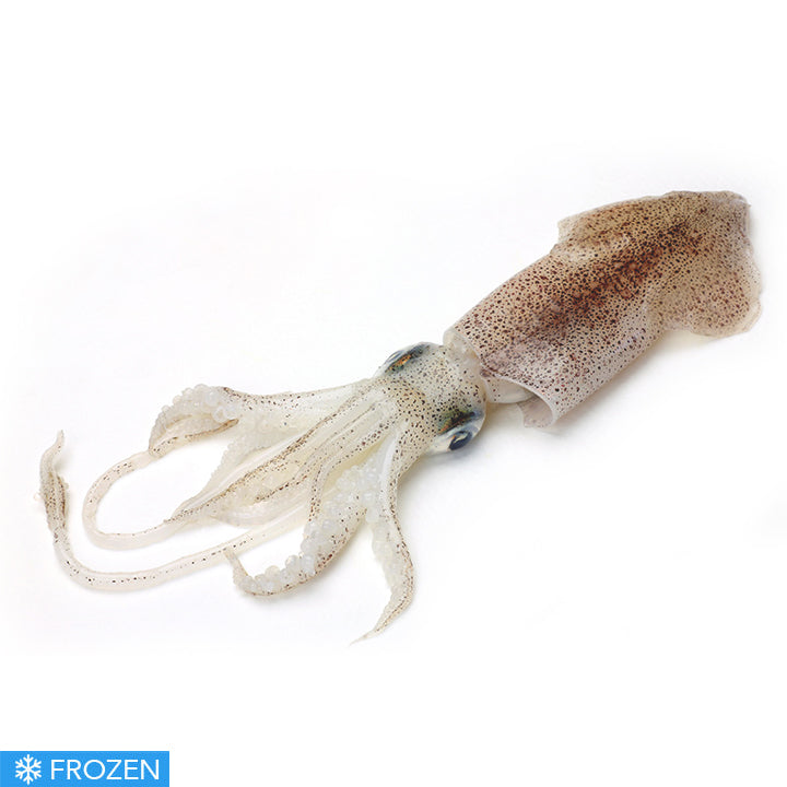 FROZEN MEDITERRANEAN SQUID (CALAMARI) - 500g