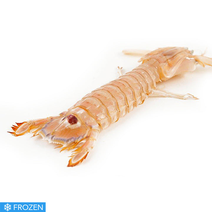 FROZEN MEDITERRANEAN MANTIS SHRIMP (CANOCCHIE) - 500g