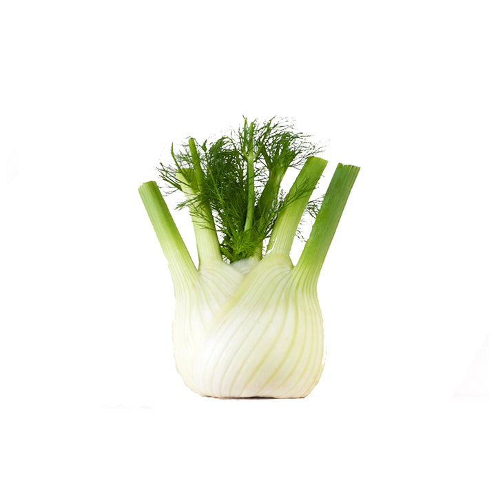 Fennel Bulb 1kg