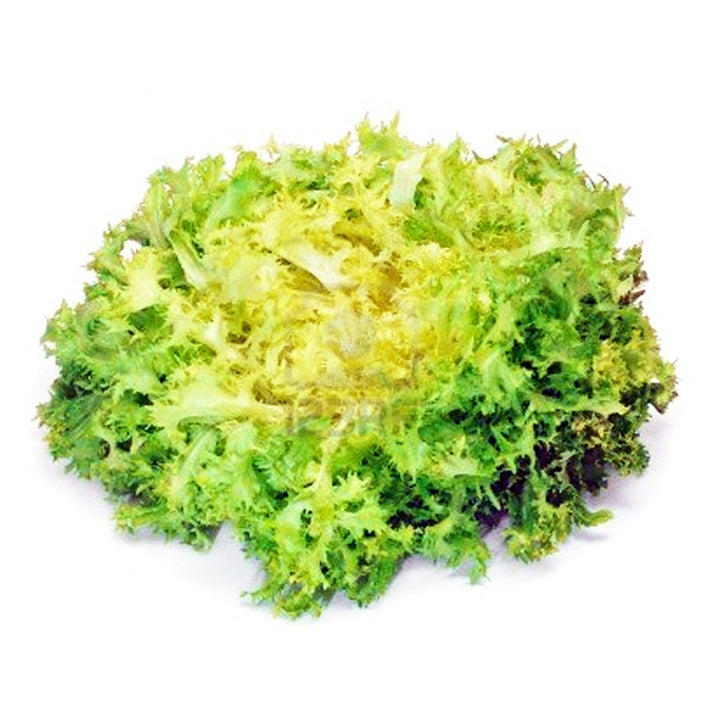 Green Chicory Lettuce 500g