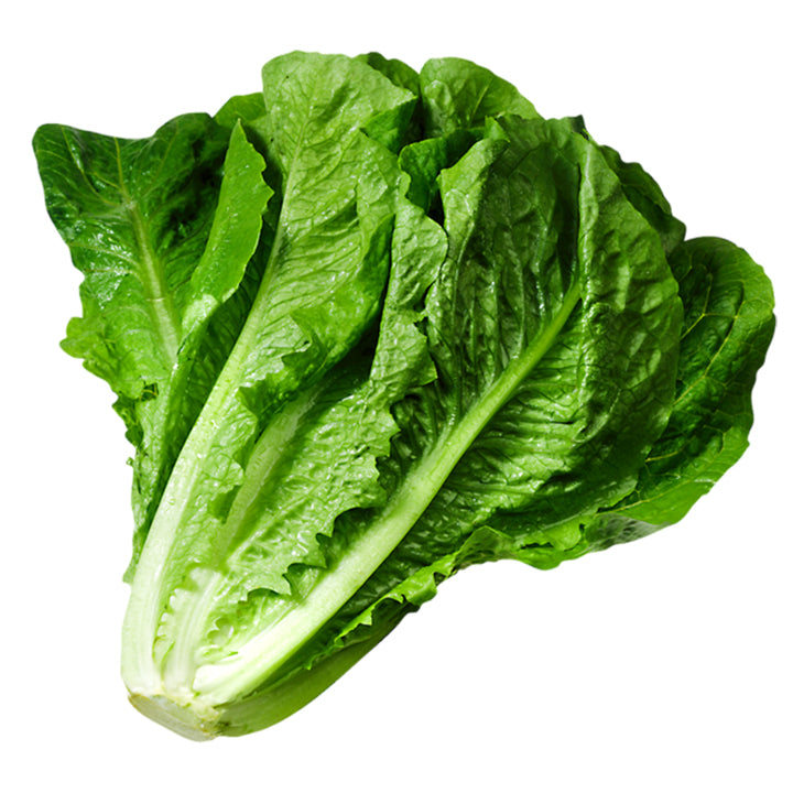 Green Leaf Lettuce  500g