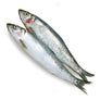 Wild Nishin Herring 300g-400g (MOQ 2kg)