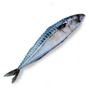 Wild Saba Mackerel 700g/ 1kg