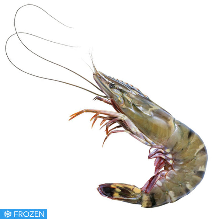 CARAMOTE PRAWN (TIGER PRAWN) - LARGE 500g