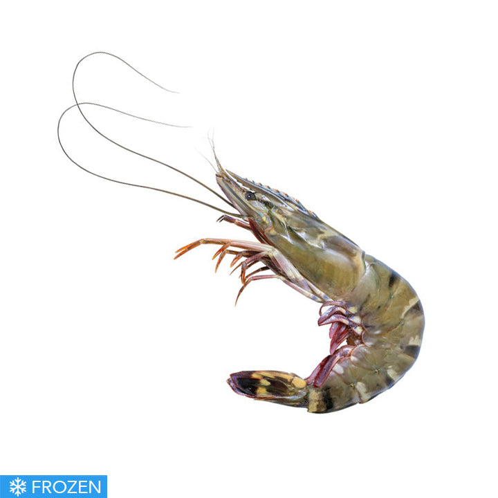 CARAMOTE PRAWN (TIGER PRAWN) - MEDIUM 500g