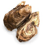 Hokkaido KAKI Oyster Size 0/1