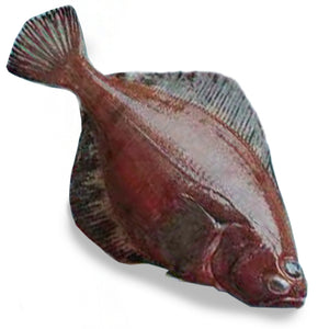 Red Flathead Sole 500g-1kg