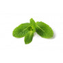 Mint Leaf 250g