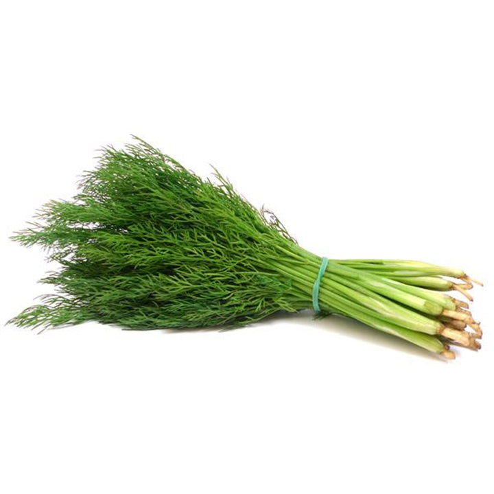 Dill 500g