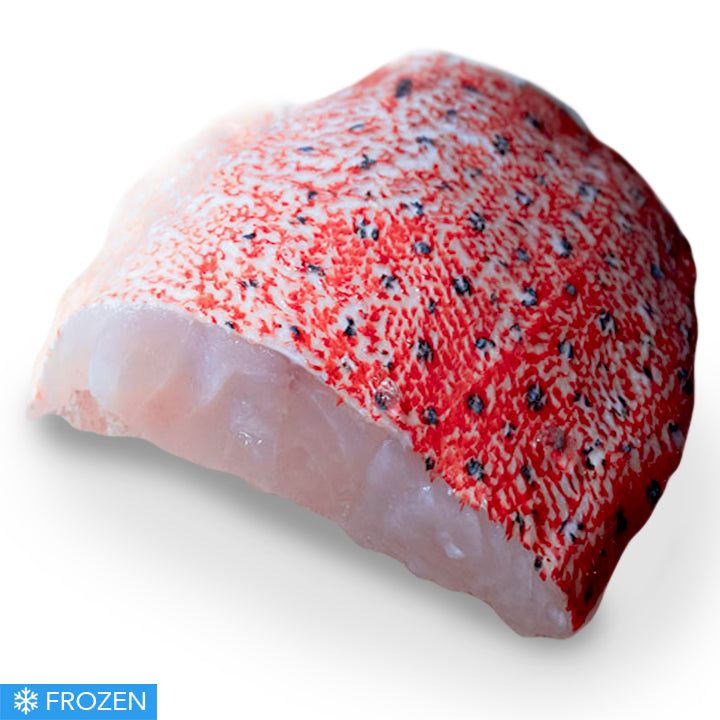 Frozen Red Grouper (Coral Trout) Fillet Skin On 150g