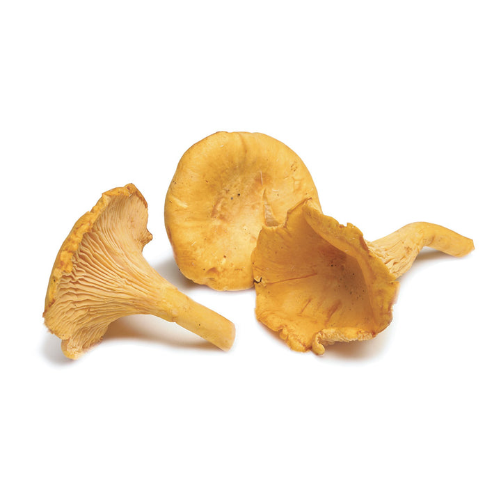 Dried Chanterelle Mushrooms "Cantharellus cibarius" 250g