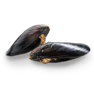 Premium Hokkaido Mussels 1Kg