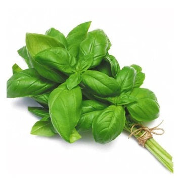 Basil with stem 500g