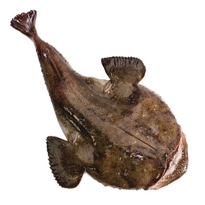 Fresh Monkfish Tail 1-2kg